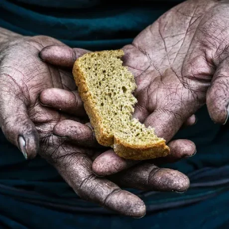 1-inseguranca-alimentar